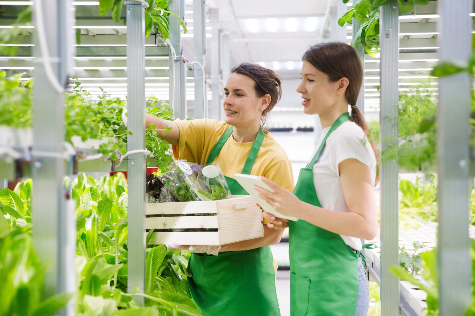 The Future of Indoor Agriculture HVAC